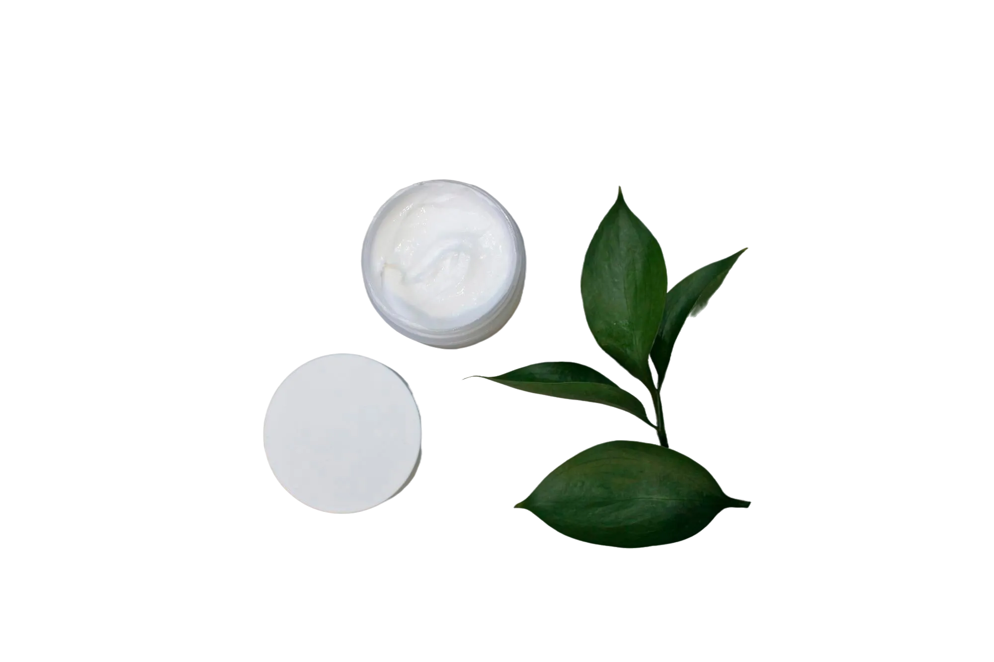 Creme - Ponto Vital - Home Site desenvolvido por Reis Web Designer