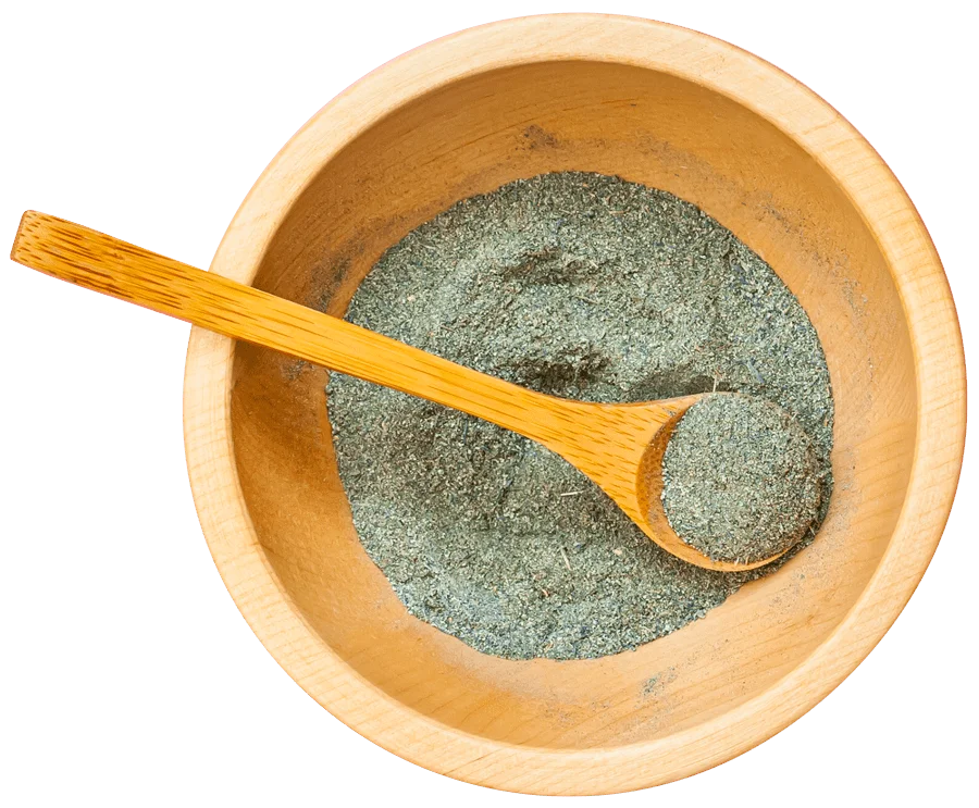 Daniela-Fiamoncini-Site desenvolvido por Reis Web Designer